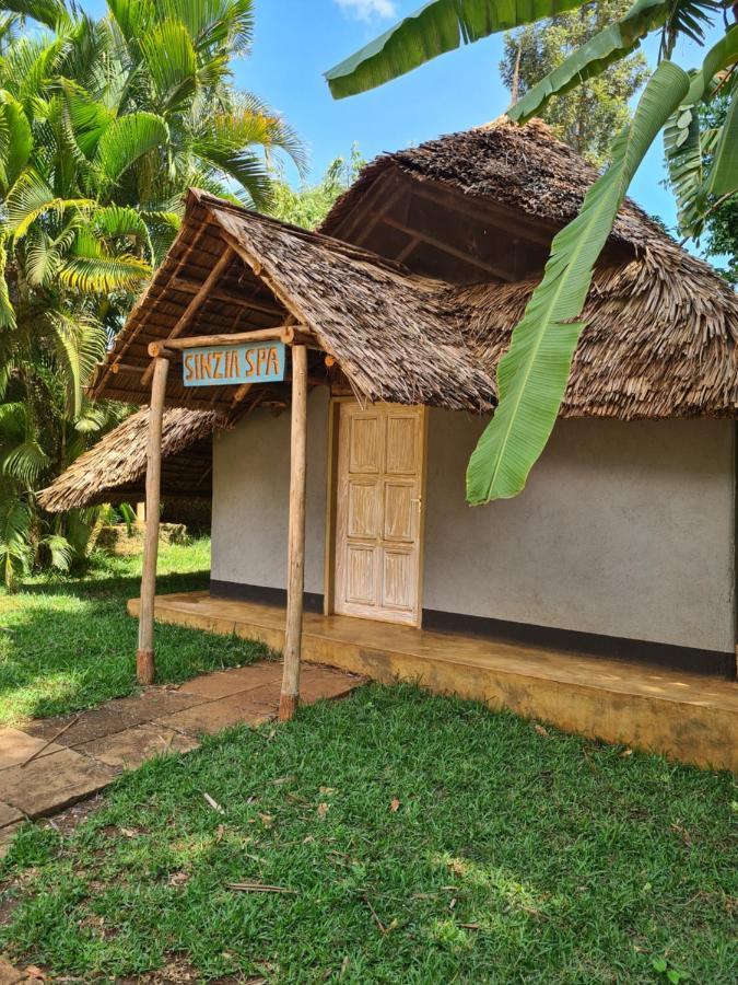 Honey Badger Lodge Moshi Zewnętrze zdjęcie
